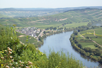 Blick auf Kesten/Mosel